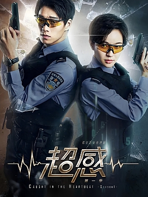 国产剧《青春警事》2018 1080P 全40集 豆瓣 6.1分【33GB】