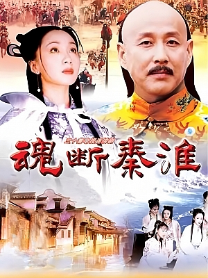 国产剧《魂断秦淮》2002 DVD 全30集 豆瓣 7.4分【20GB】