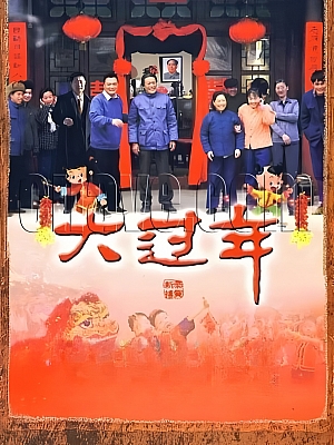 国产剧《大过年》2008 1080P 全30集 豆瓣 8.3分【39GB】