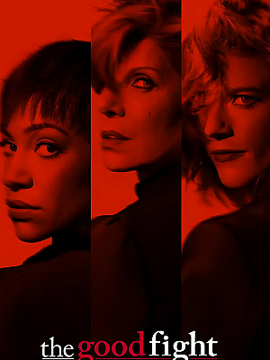 美剧《傲骨之战 第二季》The Good Wife Season 2 2018 1080P 英语中字 全13集 豆瓣 9.4分【46GB】