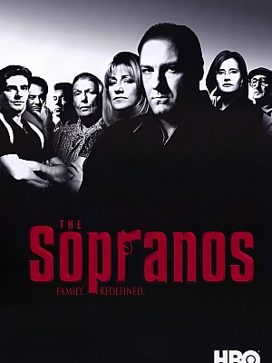 美剧《黑道家族 第二季》The Sopranos Season 2 2000 1080P 英语中字 全13集 豆瓣 9.2分【10GB】