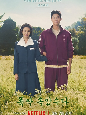 韩剧《苦尽柑来遇见你》폭싹 속았수다 2025 1080P 韩语中字 全16集 豆瓣 9.5分【47GB】