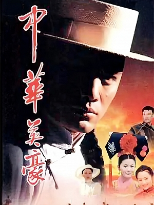 国产剧《中华英豪》2000 DVD 全30集 豆瓣 7.5分【54GB】