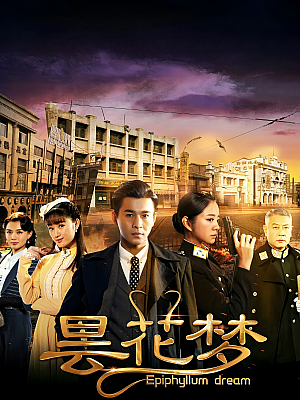 国产剧《昙花梦》2015 1080P 全43集 豆瓣 7.1分【108GB】