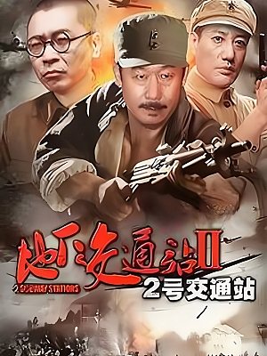 国产剧《二号交通站》2011 1080P 全36集 豆瓣 6.3分【20GB】