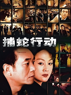 国产剧《捕蛇行动》2005 DVD 全22集【6GB】