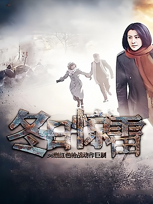国产剧《冬日惊雷》2013 DVD 全28集 豆瓣 5.5分【22GB】
