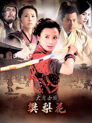 国产剧《大唐女将樊梨花》2011 1080P 全36集 豆瓣 6.2分【32GB】