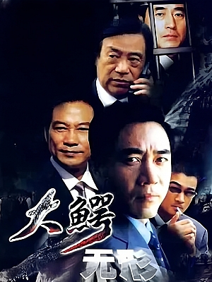 国产剧《大鳄无形》2003 DVD 全25集【14GB】