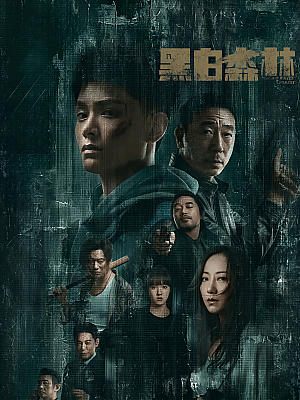 国产剧《黑白森林》2024 2160P 全28集 豆瓣 6.1分【29GB】