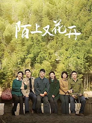 国产剧《陌上又花开》2025 2160P 全36集【162GB】