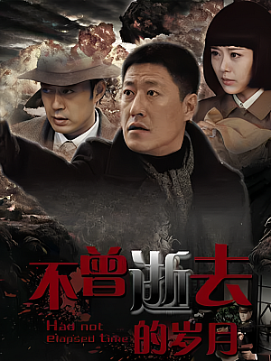 国产剧《不曾逝去的岁月》2013 DVD 全30集 豆瓣 4.9分【7GB】