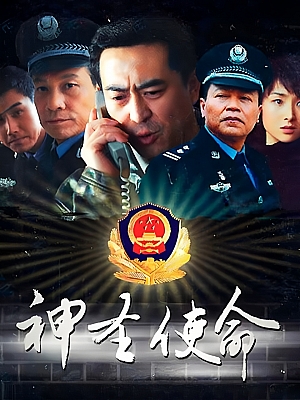 国产剧《神圣使命》2011 2160P 全24集 豆瓣 8.0分【23GB】