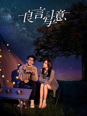 国产剧《良言写意》2021 2160P 全32集 豆瓣 4.5分【45GB】